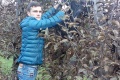 протиградова сітка