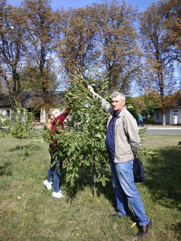 Професор Мельник О. В. демонструє особливості формування дерев вишні для комбайнового збирання врожаю