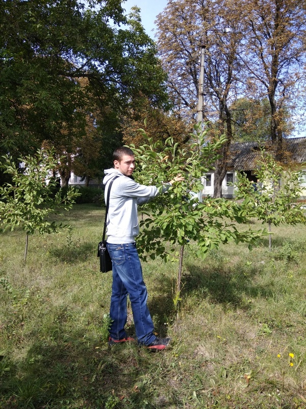 Студент 61м-с групи Станіслав Дерун за моделюванням обрізування дерев вишні