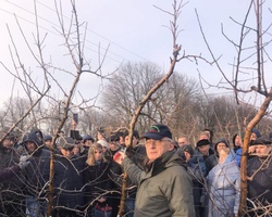 Пітер Ван Аркель під час демонстрації способів обрізування яблуні інтенсивному саду