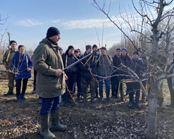 Доцент Яковенко Р. В. демонструє особливостi формування дерев груші у віковому періоді плодоношення.