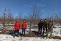 Доцент Майборода В. П. і студенти 31-с групи в насадженнях черешні у віковому періоді росту плодоношення.