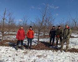 Доцент Майборода В. П. і студенти 31-с групи в насадженнях черешні у віковому періоді росту плодоношення.