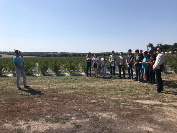 Агроном-садівник Артур Дорожинський представляє ягідні насадження ТОВ "Агроплант"