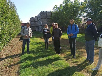 Виїзне практичне заняття з «Післязбиральна доробка плодів, овочів і винограду» та «Сучасні технології садівництва»