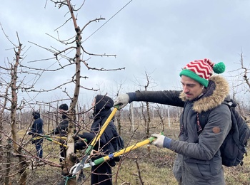 В Уманському НУС стартувала навчальна практика з обрізування плодових насаджень