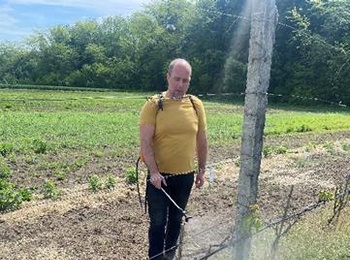 Обробіток виноградних насаджень антистресантами та ґрунтовими гербіцидами