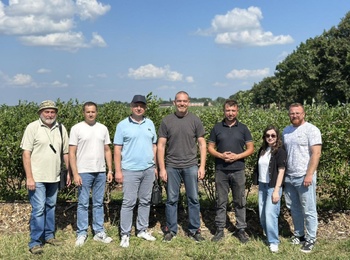 СУЧАСНІ САДІВНИЧІ ТЕХНОЛОГІЇ НА ЧЕРКАЩИНІ: інтенсивна культура лохини