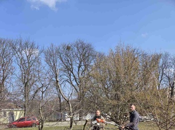 УПОРЯДКУВАННЯ ТЕРИТОРІЇ УНІВЕРСИТЕТСЬКОГО МІСТЕЧКА