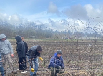 ВЕСНЯНІ ДОСЛІДЖЕННЯ НА ВИНОГРАДНИКУ