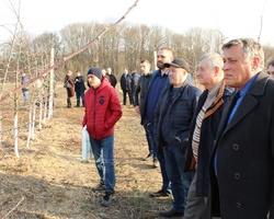 Під час демонстрації електричного секатора