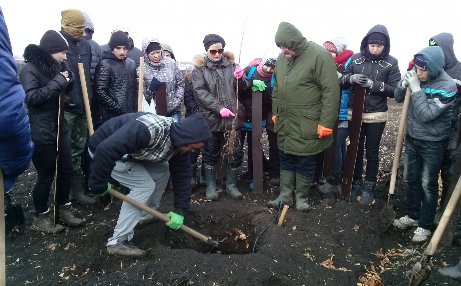 Студенти Уманського НУС взяли участь у закладання горіхового саду на Жашківщині