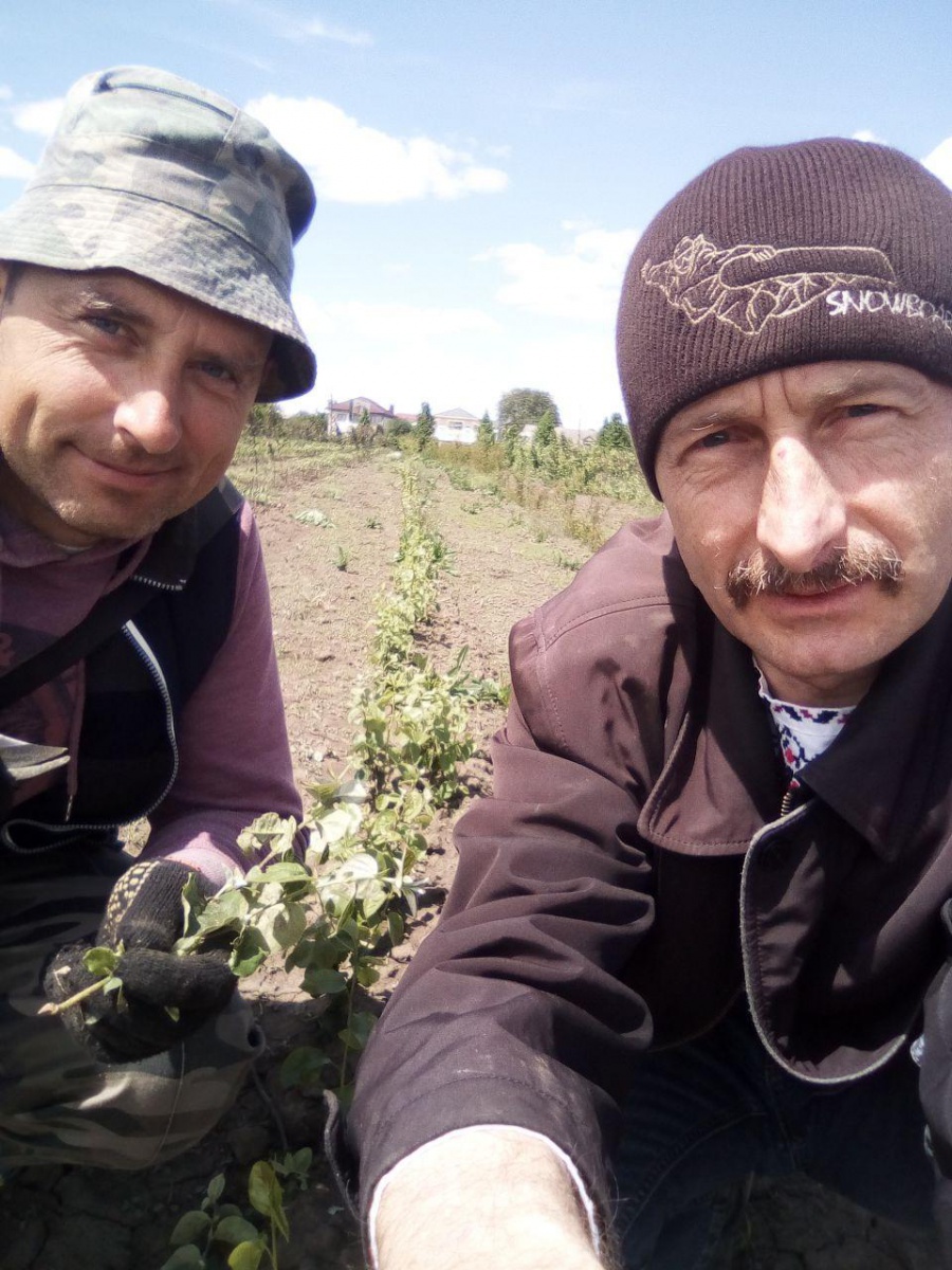 Кафедра плодівництва і виноградарства вітає з Всесвітнім днем вишиванки!