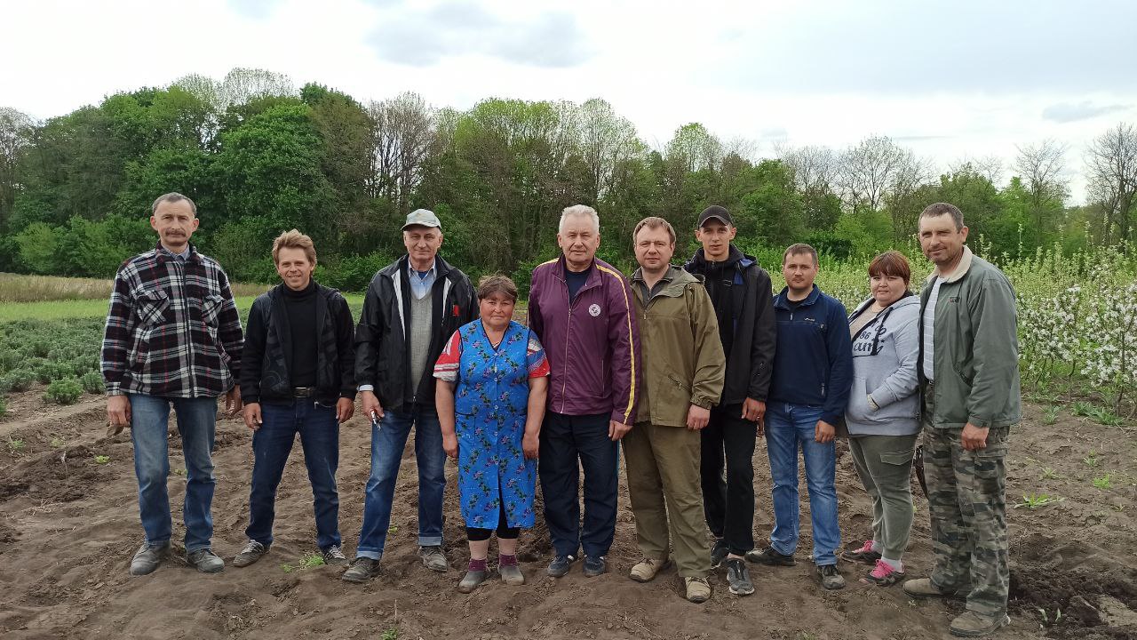 В Уманському НУС закладено виноградник сортами винограду селекції Інституту ім. В. Є. Таїрова