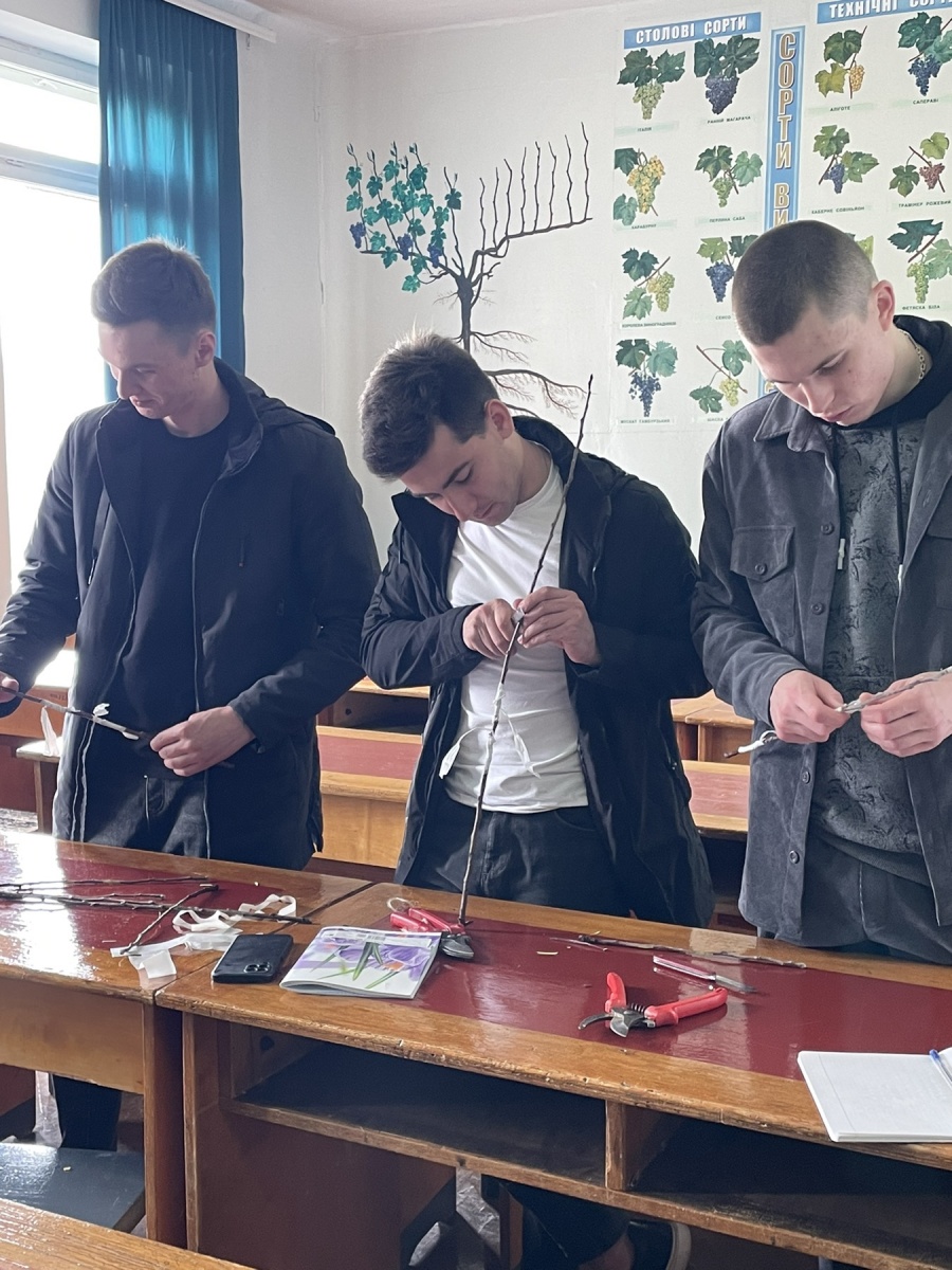 Практичне заняття з щеплення плодових культур 