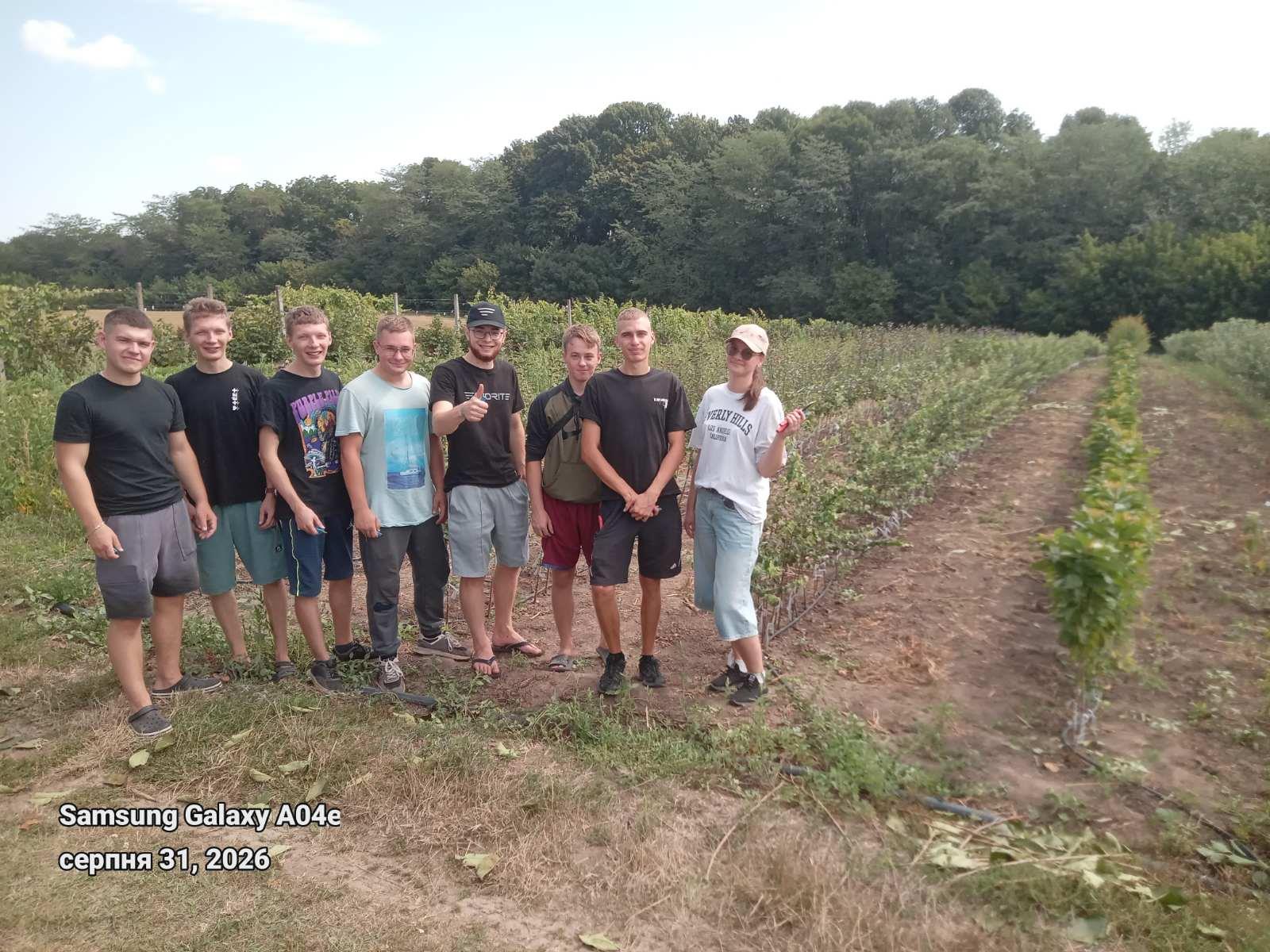 Практична підготовка студентів з окулірування плодових культур